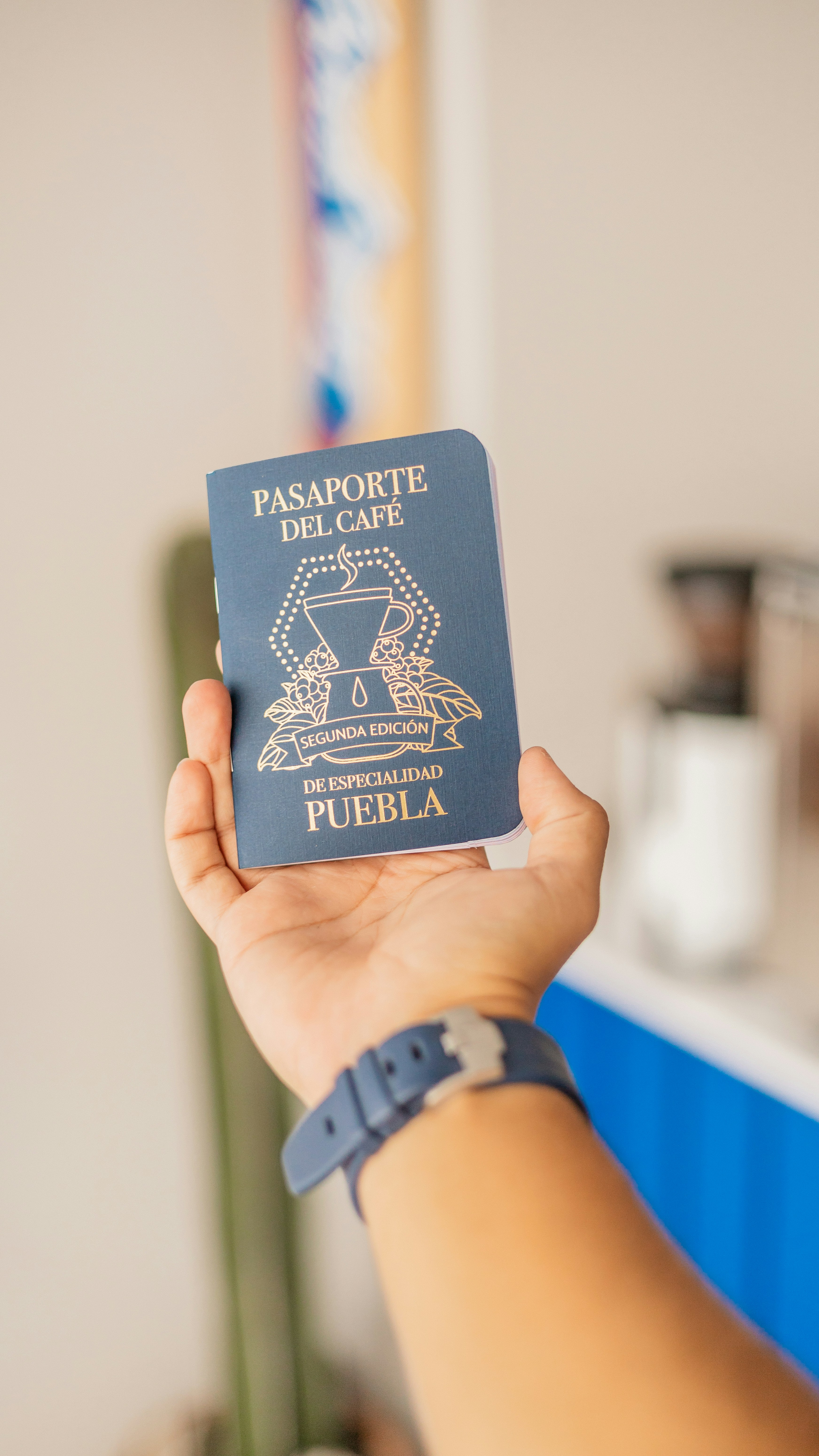 Professional holding a passport